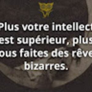 Meet your Posher, Julien